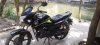 Honda livo